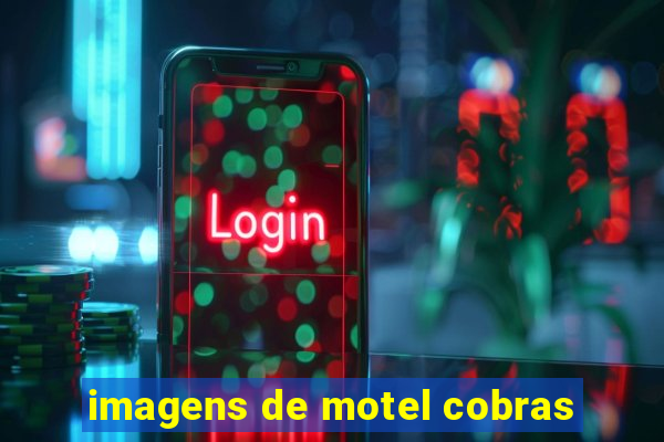 imagens de motel cobras